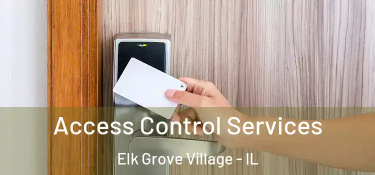 Access Control Services Elk Grove Village - IL