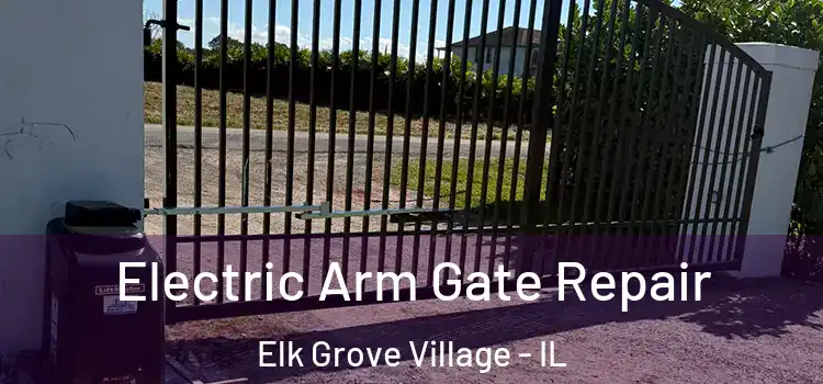 Electric Arm Gate Repair Elk Grove Village - IL