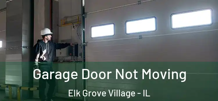  Garage Door Not Moving Elk Grove Village - IL