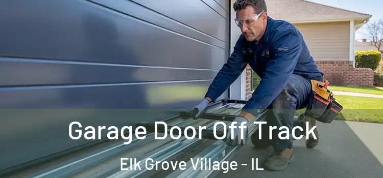  Garage Door Off Track Elk Grove Village - IL