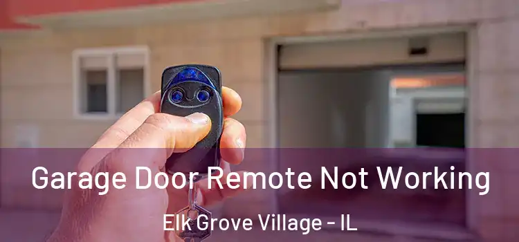  Garage Door Remote Not Working Elk Grove Village - IL