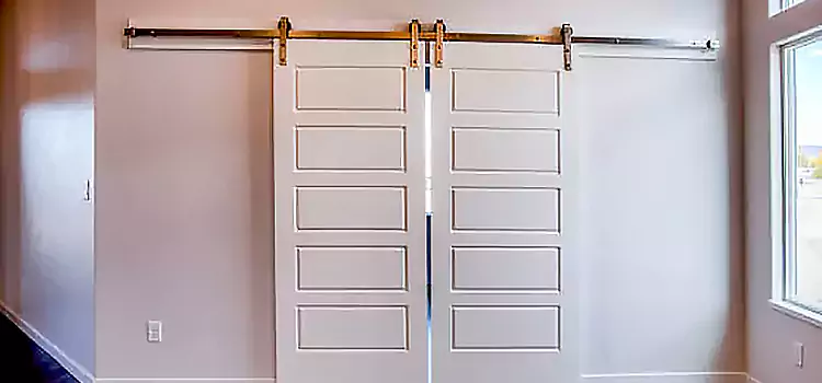 Glass Barn Door with Installation Hardware Kit Elk Grove Village
