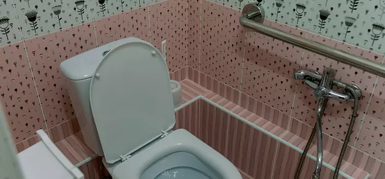 Meeting Diverse Needs With Accessible Restroom Solutions in Elk Grove Village, IL