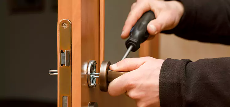 Rekey Car Locks Elk Grove Village