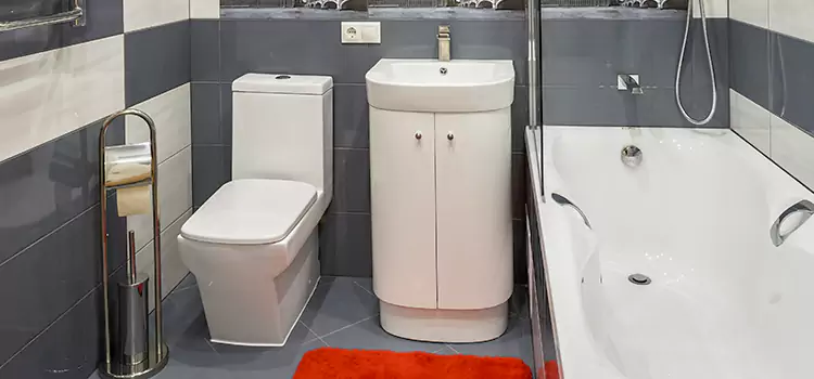 Hansgrohe Shaving Mirror Elk Grove Village