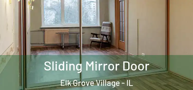  Sliding Mirror Door Elk Grove Village - IL